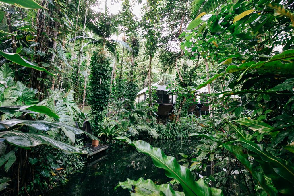 Daintree Ecolodge