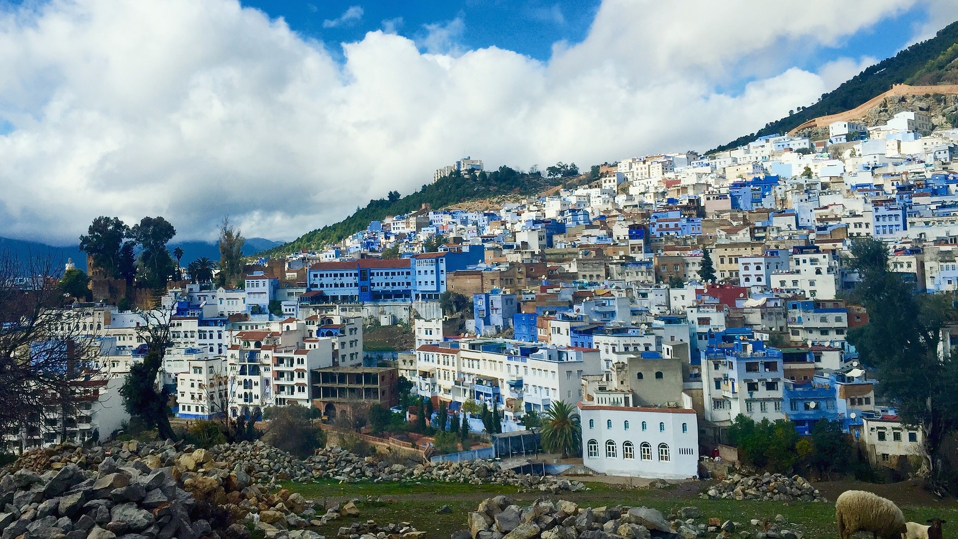 Chefchaouen Morocco